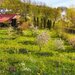 Teren intravilan Slanic Prahova