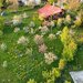 Teren intravilan Slanic Prahova